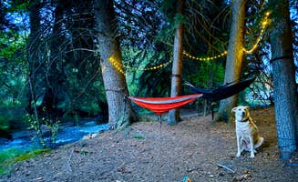 Paulina B.'s photo of camping with pets at Rainbow Trout Ranch and Campground near Littleton, CO