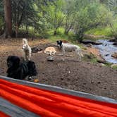 Review photo of Rainbow Trout Ranch and Campground by Paulina B., December 6, 2024