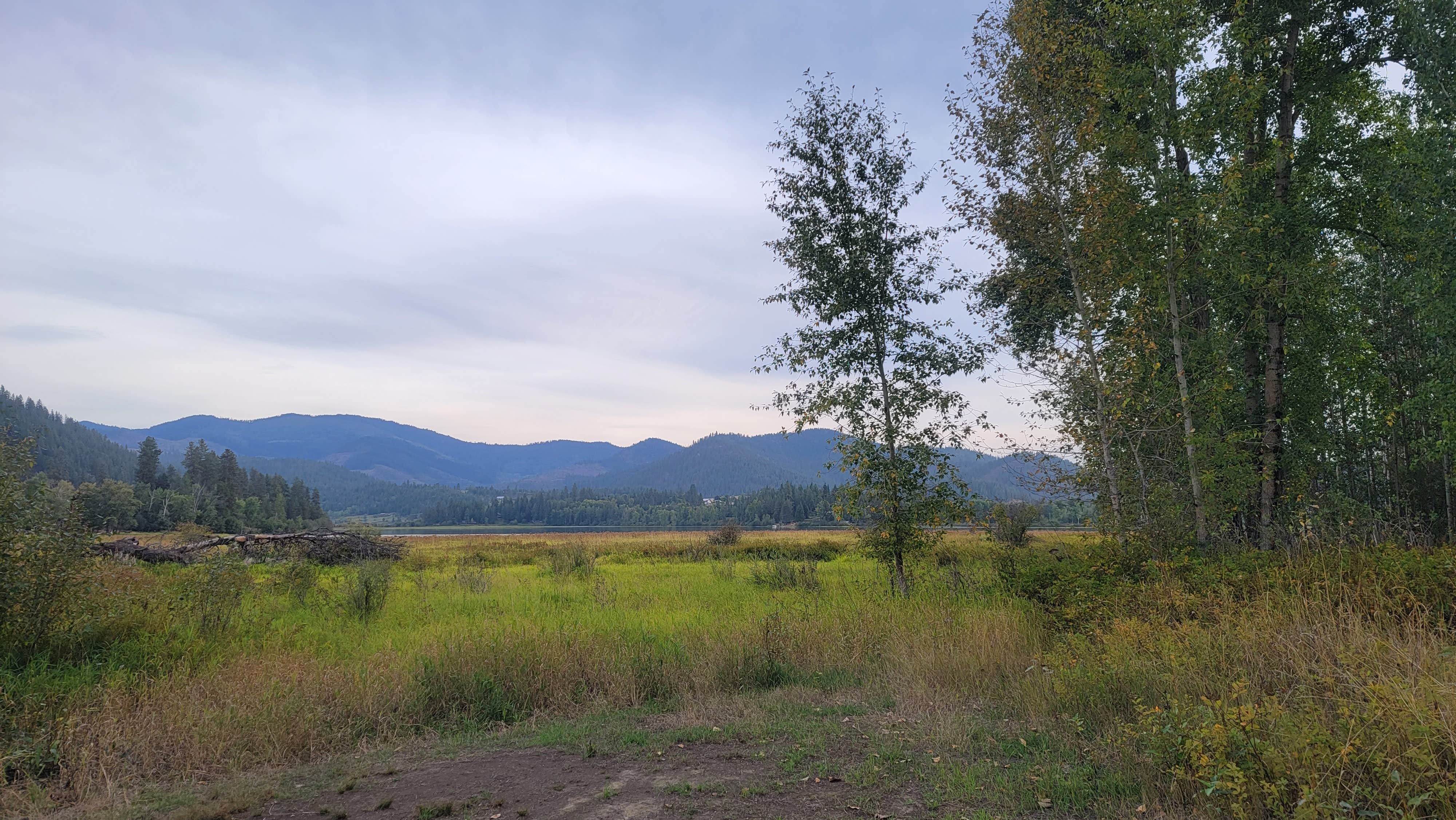 Camper-submitted photo at Rainy Hill Campground near St. Maries, ID