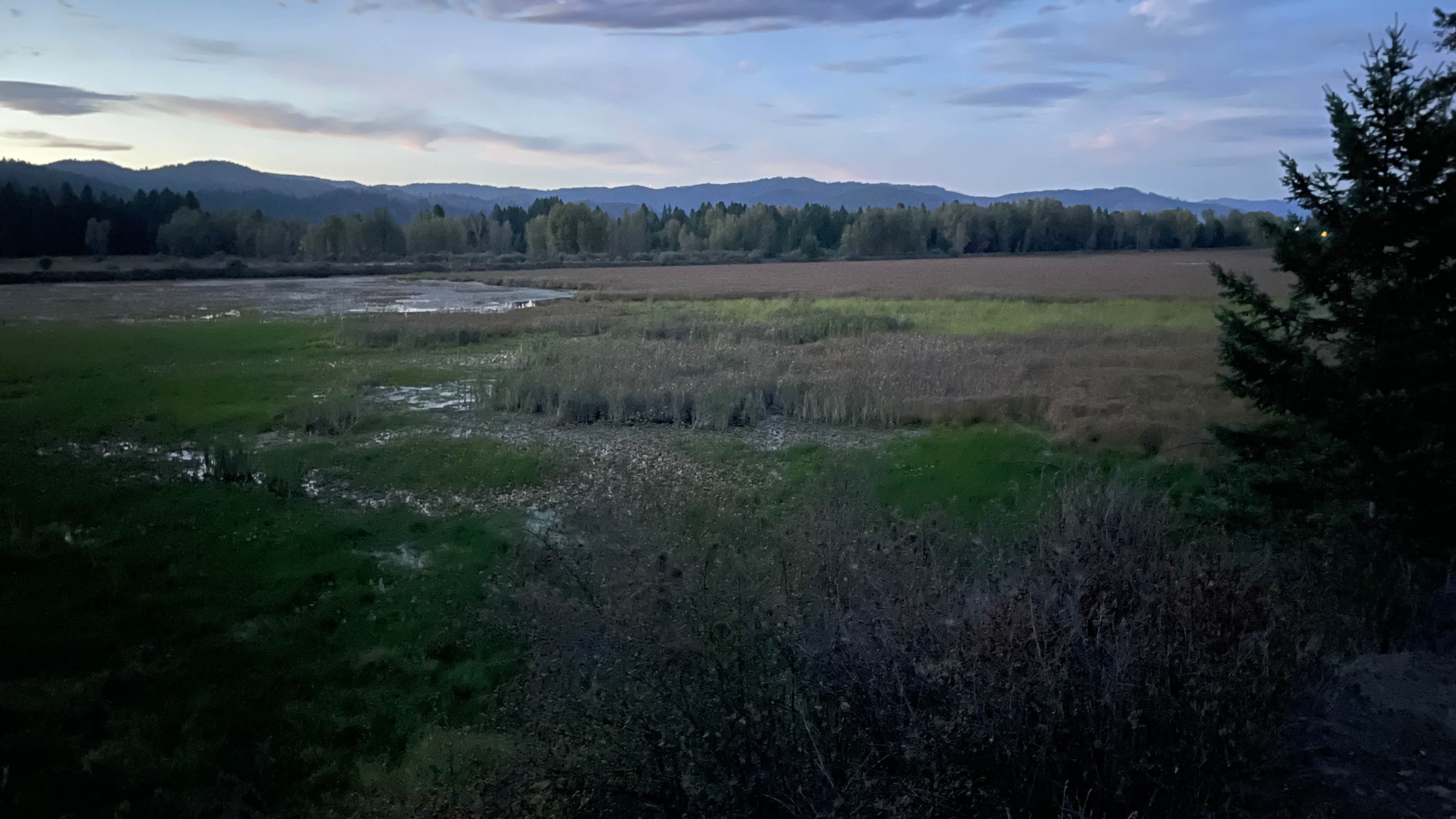 Camper-submitted photo at Rainy Hill Campground near St. Maries, ID