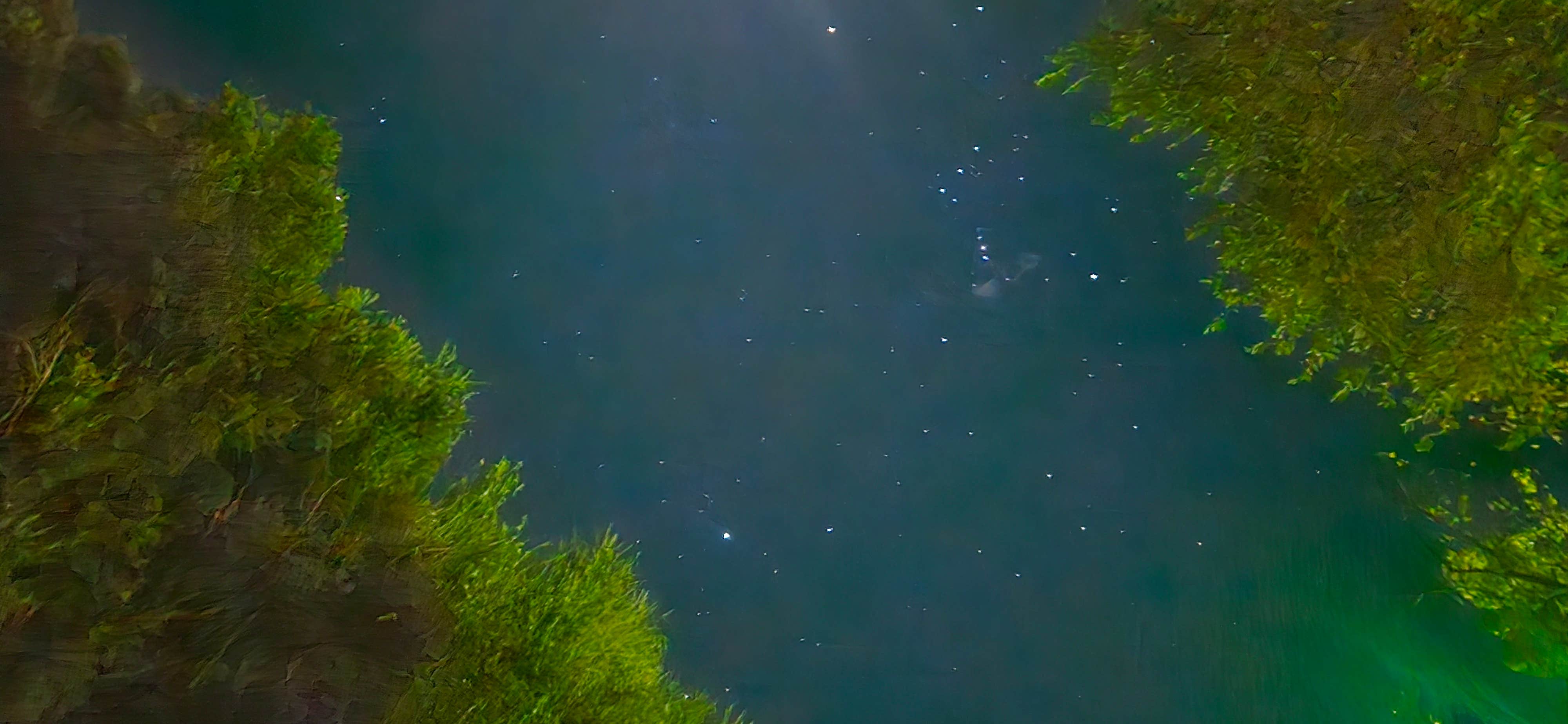 Camper-submitted photo at Ramblin Rose RV Park & Motel near Plains, KS