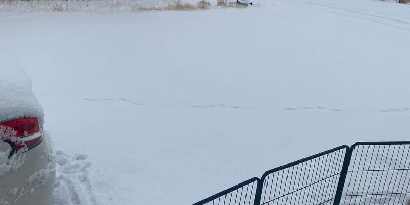 Camper submitted image from Ramblin' Rose RV Park