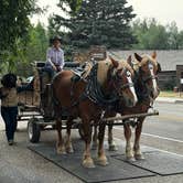 Review photo of Rambling Moose Campground by Barb N., July 15, 2024