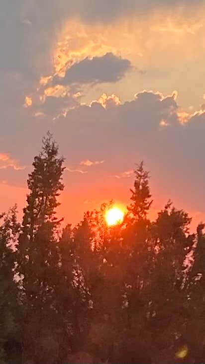 Rambling Moose Campground