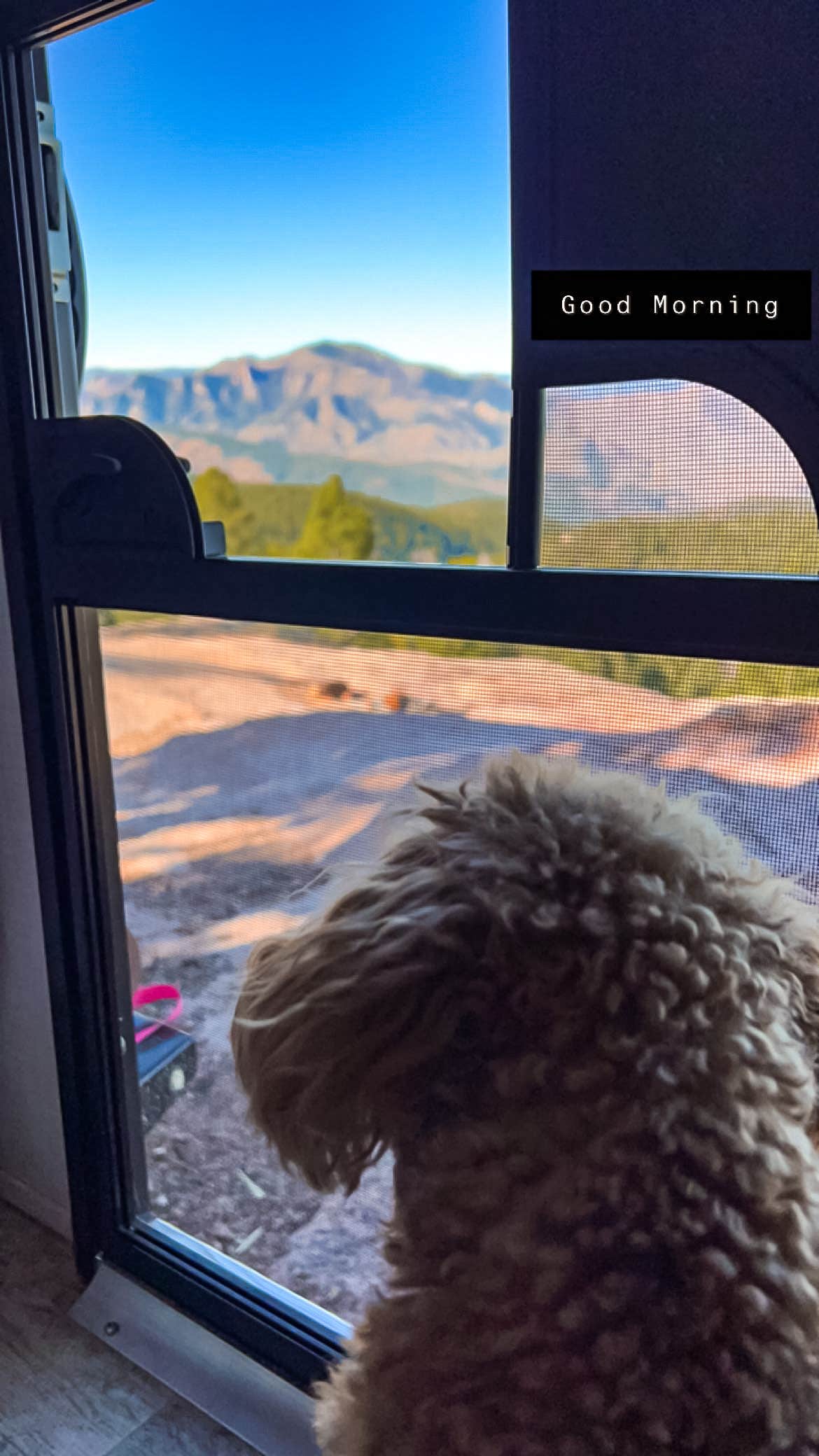 Alex C.'s photo of camping with pets at Rampart Range Recreation Area near Littleton, CO