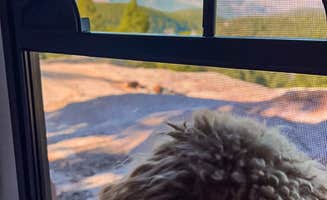 Alex C.'s photo of camping with pets at Rampart Range Recreation Area near Castle Pines, CO