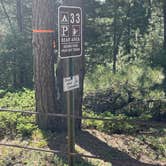Review photo of Rampart Range Recreation Area by Taylor V., August 10, 2025