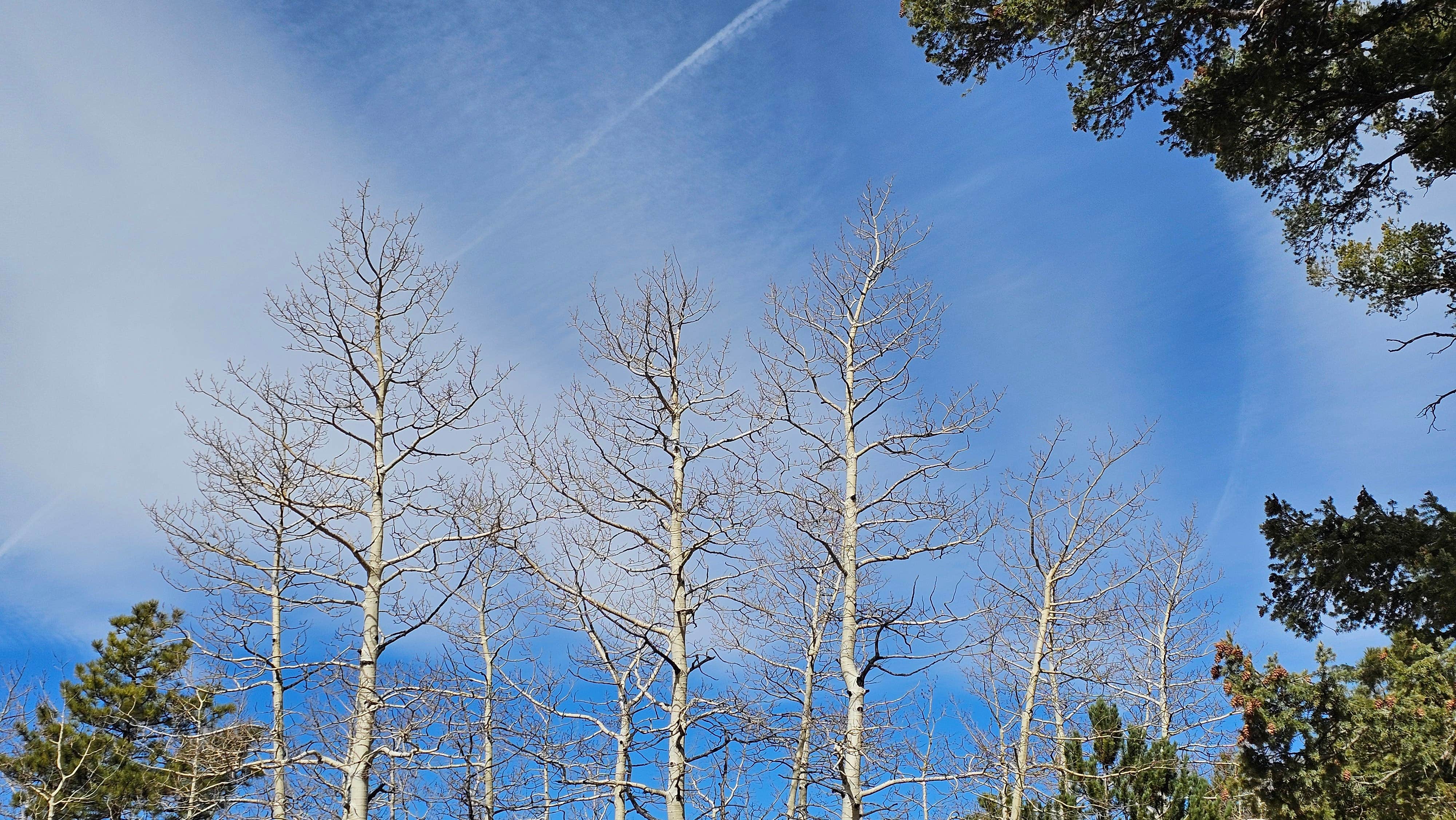 Camper-submitted photo at Rampart Range Area Dispersed Campsite near Pueblo, CO