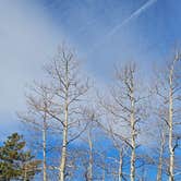 Review photo of Rampart Range Area Dispersed Campsite by johny R., April 12, 2026