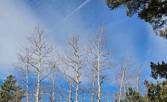 johny R.'s photo of a dispersed camping area at Rampart Range Area Dispersed Campsite near Woodland Park, CO