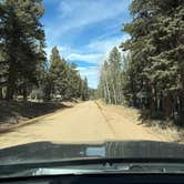 Review photo of Rampart Range Area Dispersed Campsite by Aspen W., March 14, 2026