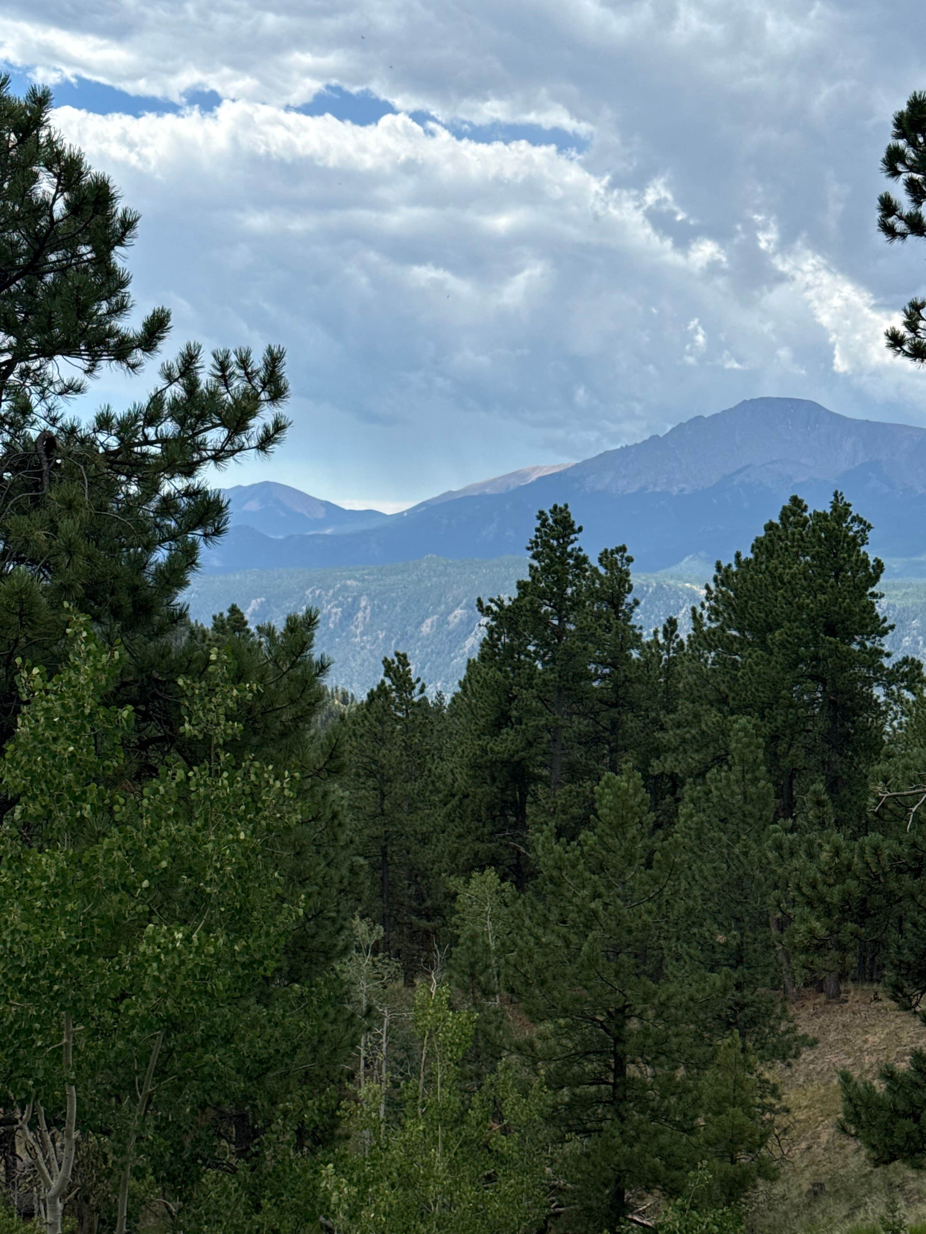 Camper-submitted photo at Rampart Range Area Dispersed Campsite near Larkspur, CO