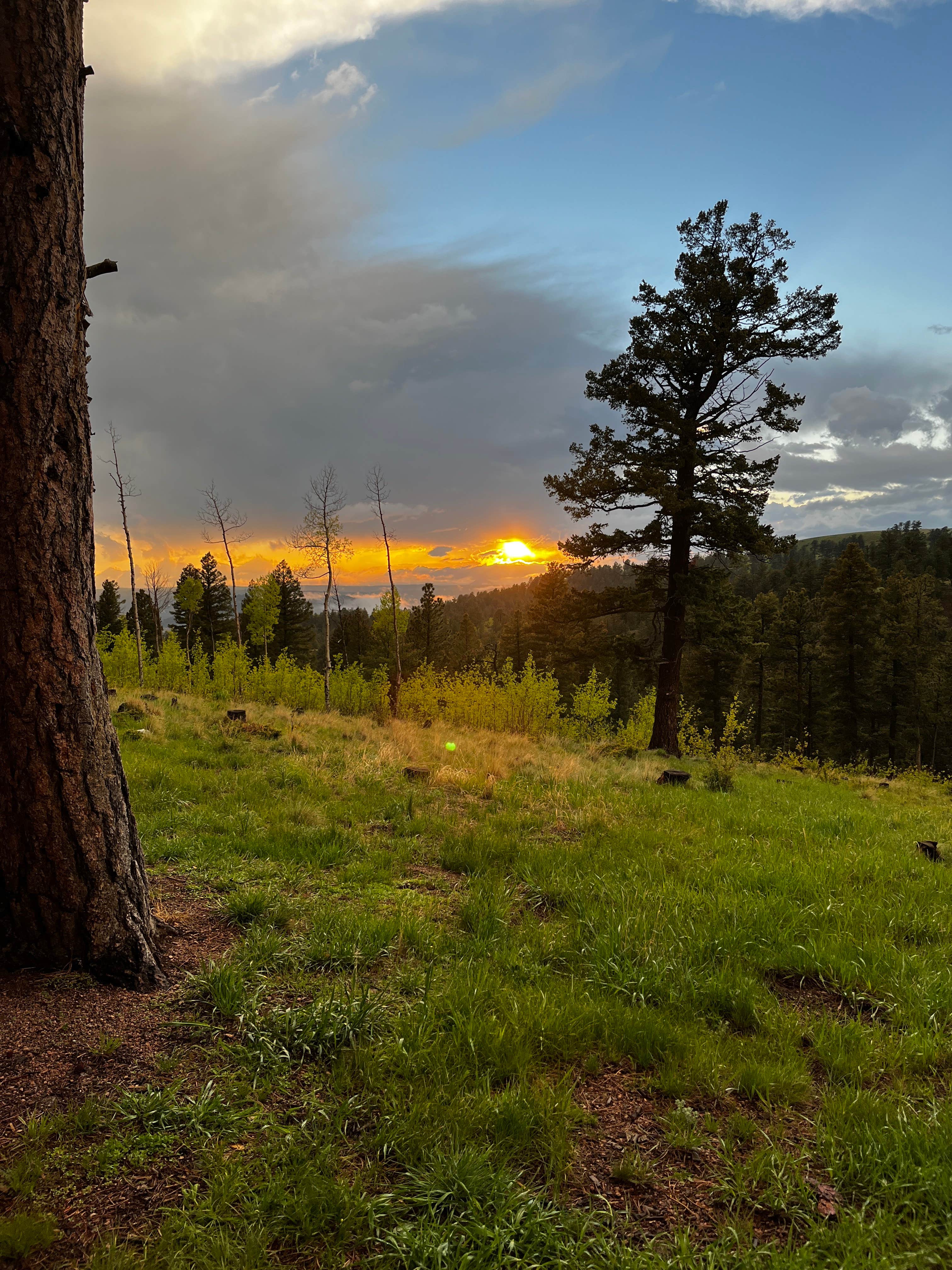 Bryce C.'s photo of a dispersed camping area at Rampart Range Area Dispersed Campsite near Parker, CO