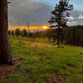 Review photo of Rampart Range Area Dispersed Campsite by Bryce C., June 9, 2025