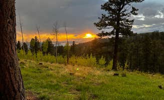 Bryce C.'s photo of a dispersed camping area at Rampart Range Area Dispersed Campsite near Woodland Park, CO