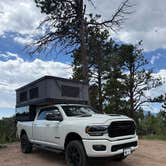 Review photo of Rampart Range Area Dispersed Campsite by Bernie D., August 19, 2025