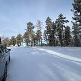 Review photo of Rampart Range Area Dispersed Campsite by Wild Berries B., April 17, 2024