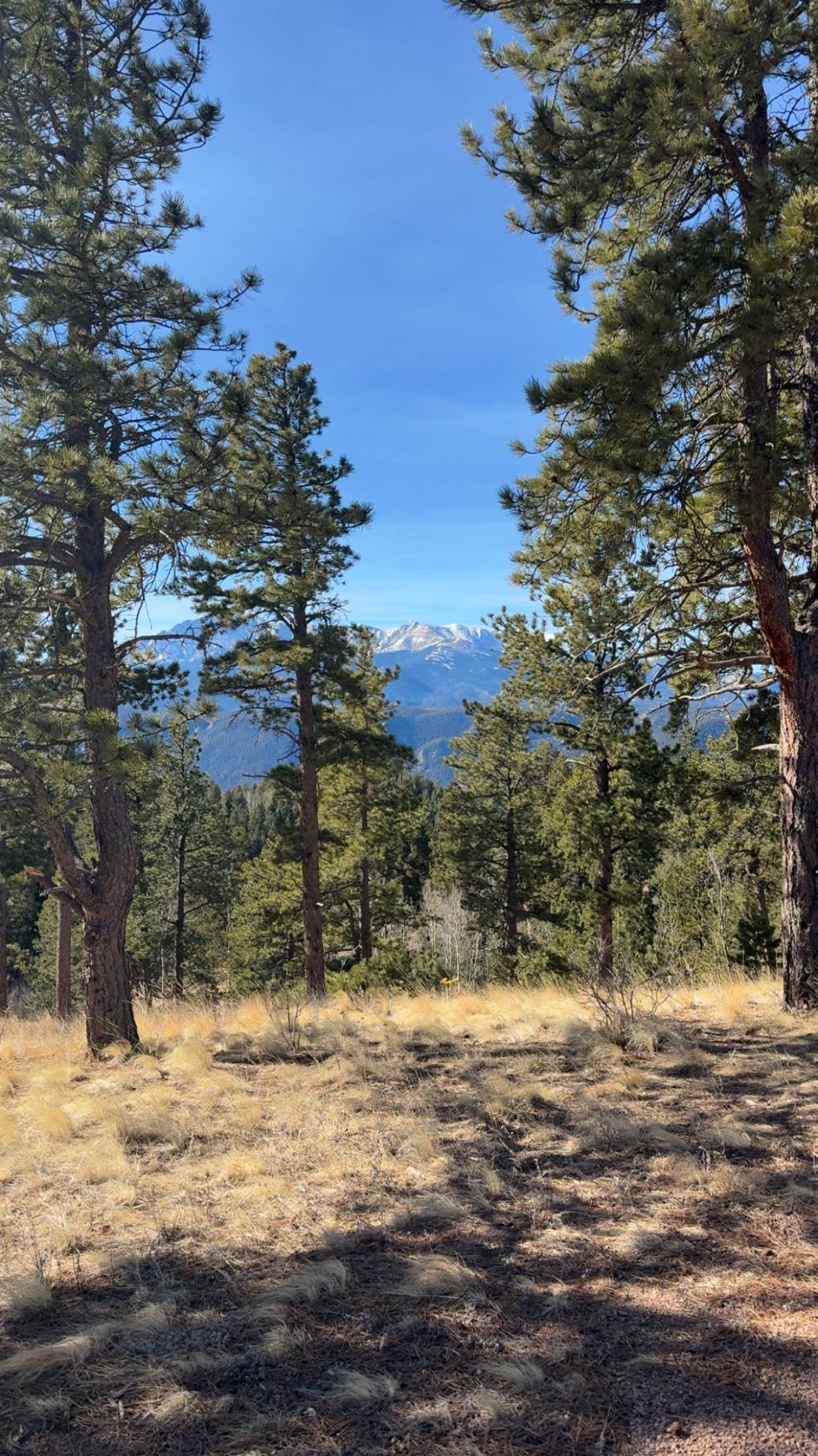 Camper-submitted photo at Rampart Range Area Dispersed Campsite near Manitou Springs, CO