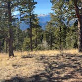 Review photo of Rampart Range Area Dispersed Campsite by Aspen W., March 14, 2026