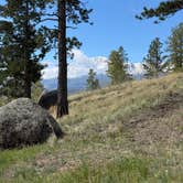 Review photo of Rampart Range Area Dispersed Campsite by Jem S., July 10, 2026