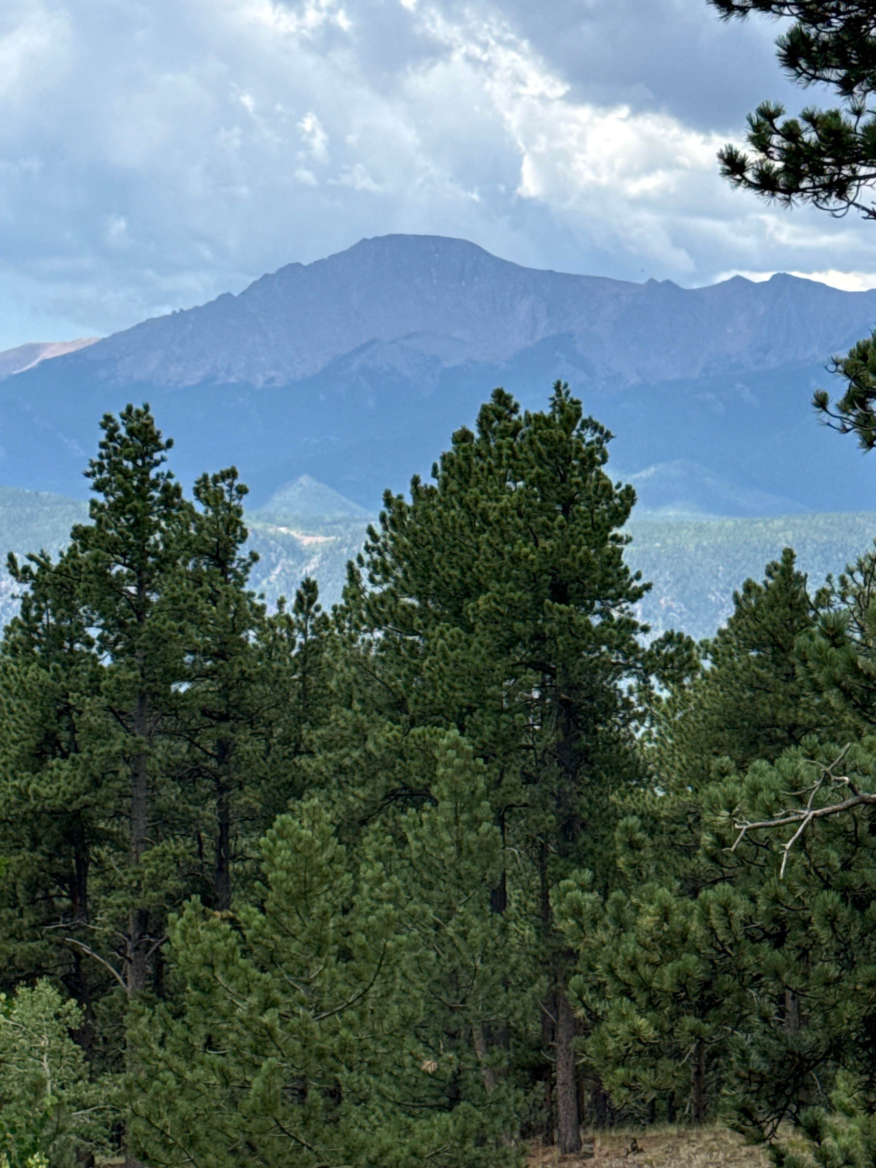 Camper-submitted photo at Rampart Range Area Dispersed Campsite near Larkspur, CO
