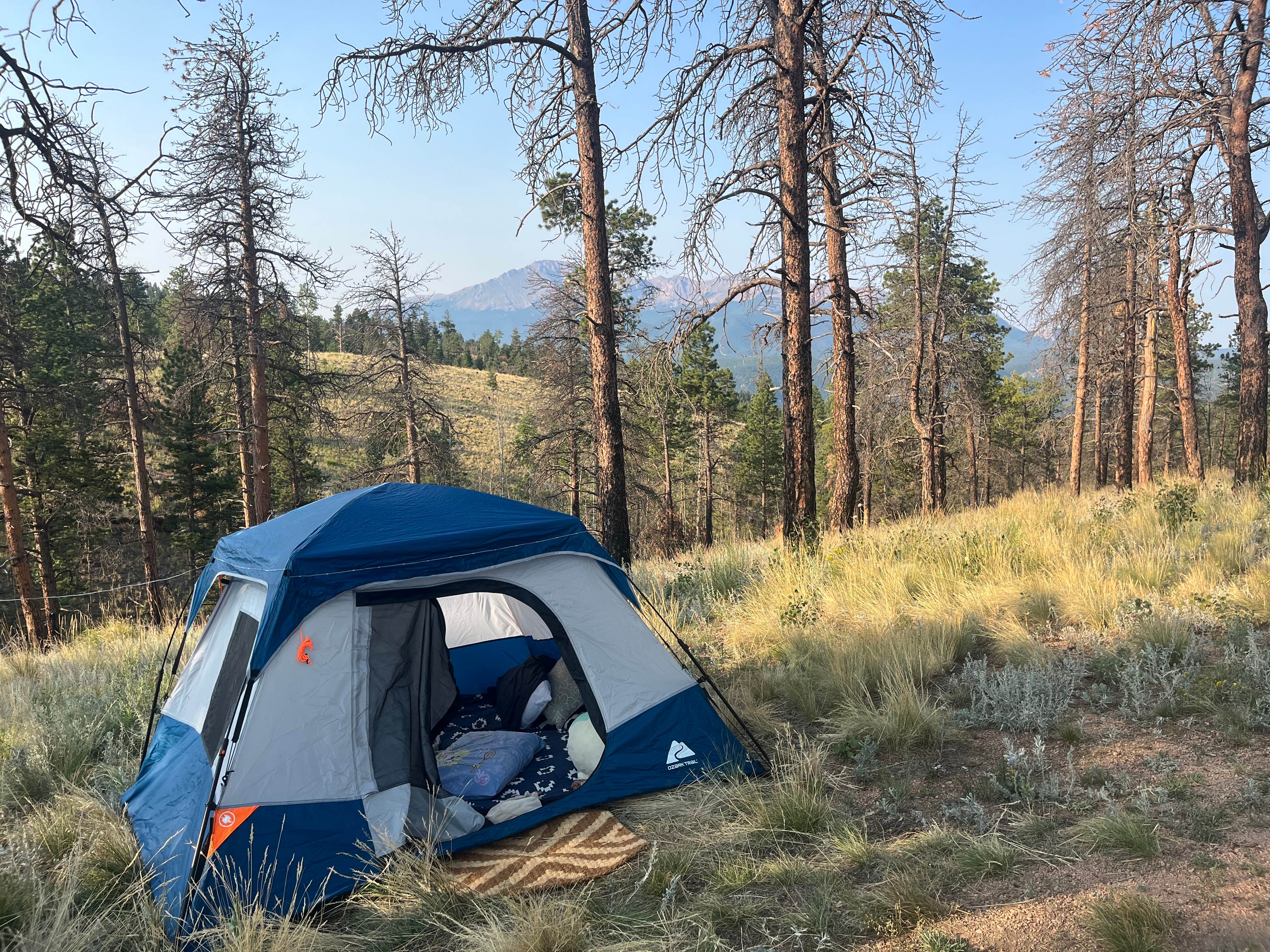 Camper-submitted photo at Rampart Range Area Dispersed Campsite near Divide, CO