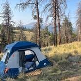 Review photo of Rampart Range Area Dispersed Campsite by Madeline M., August 10, 2026