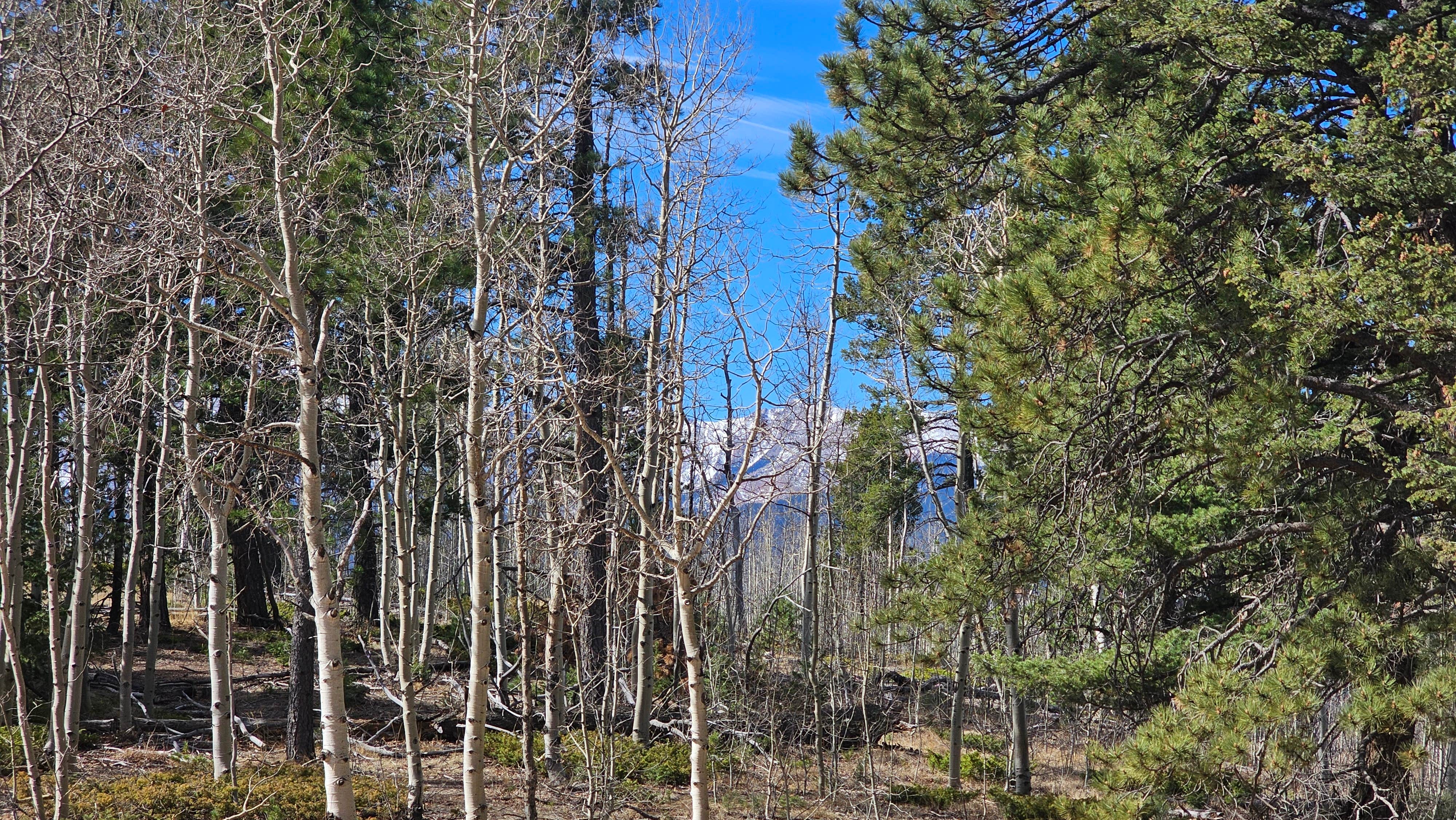 Camper-submitted photo at Rampart Range Area Dispersed Campsite near Pueblo, CO