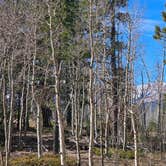 Review photo of Rampart Range Area Dispersed Campsite by johny R., April 12, 2026