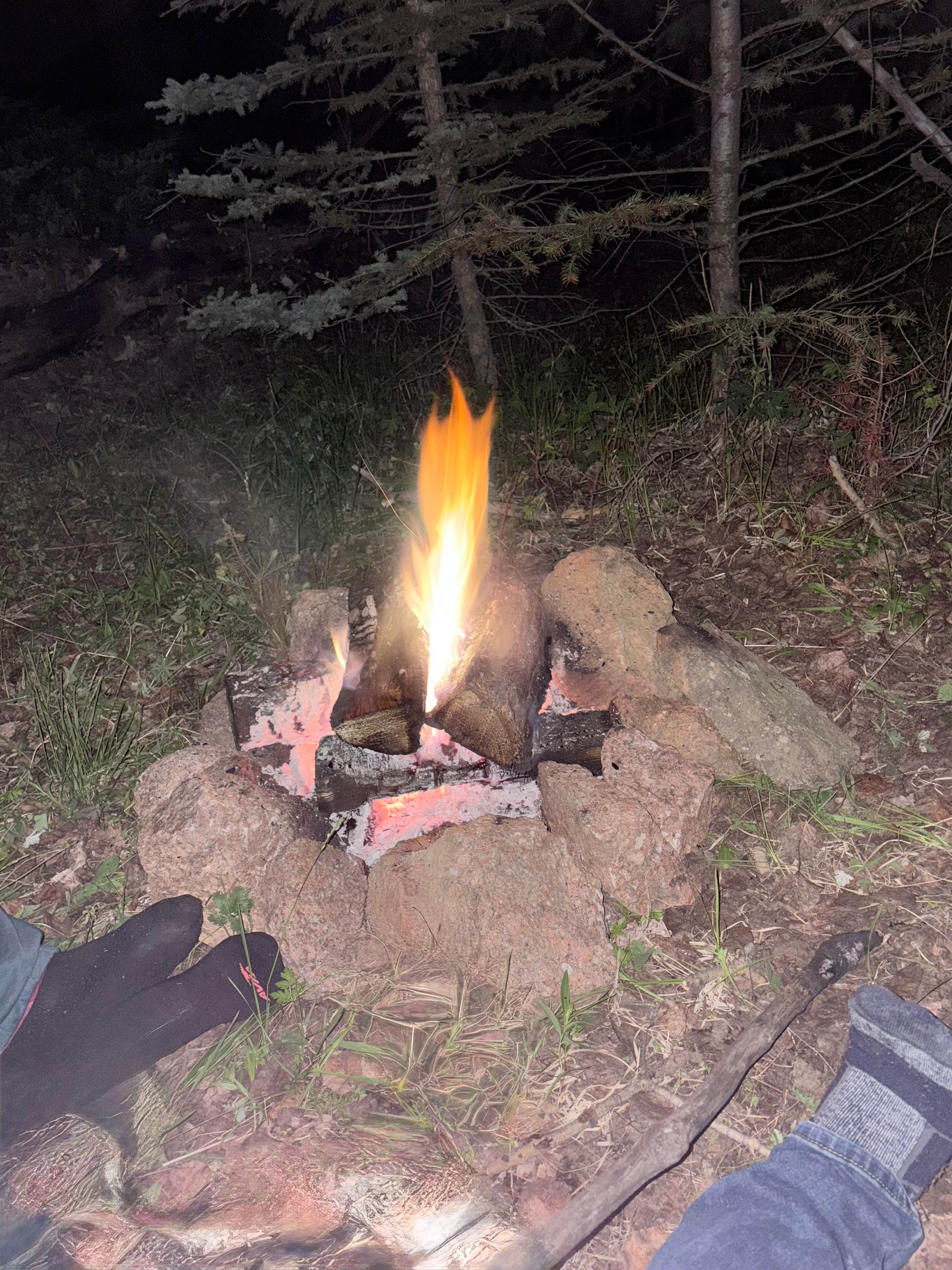 Camper-submitted photo at Rampart Range Area Dispersed Campsite near Larkspur, CO