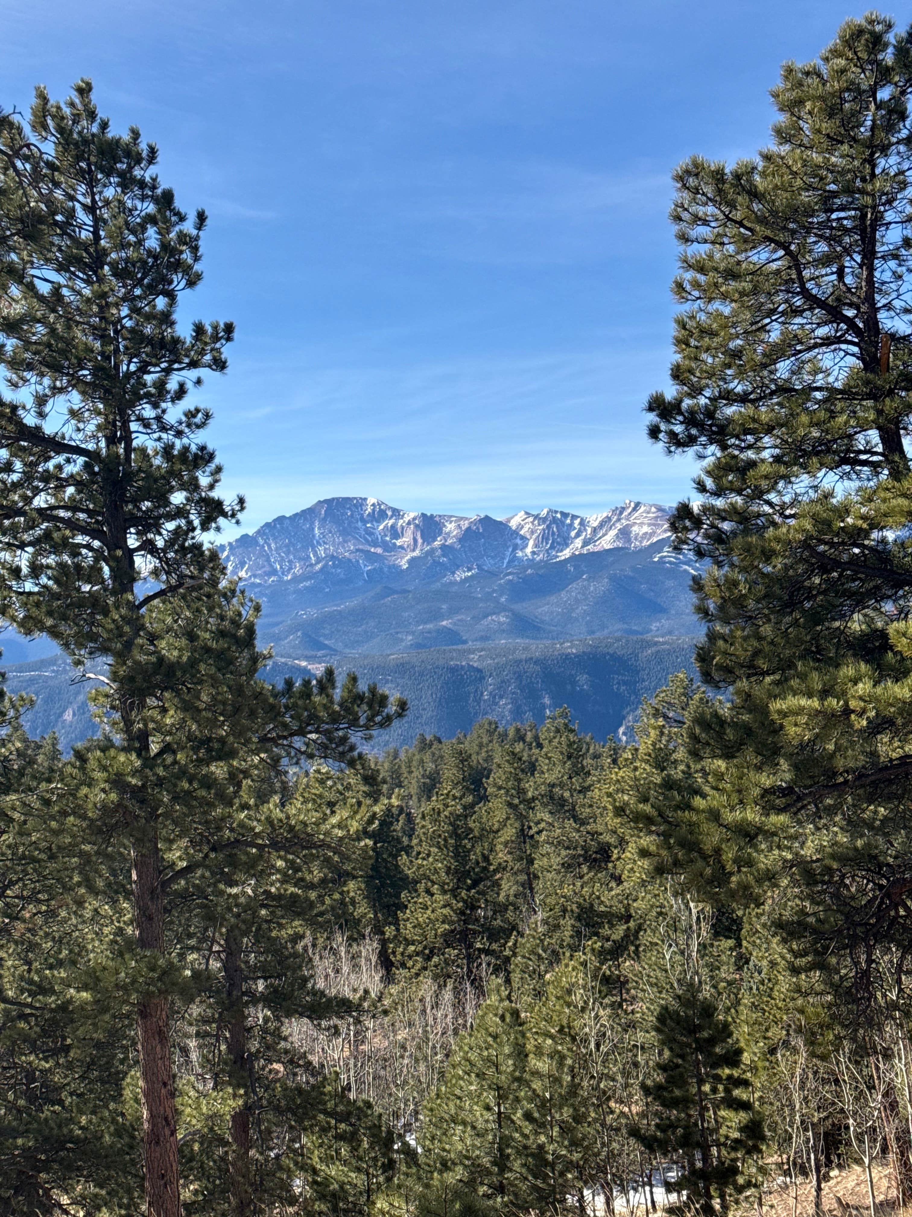 Camper-submitted photo at Rampart Range Area Dispersed Campsite near Manitou Springs, CO