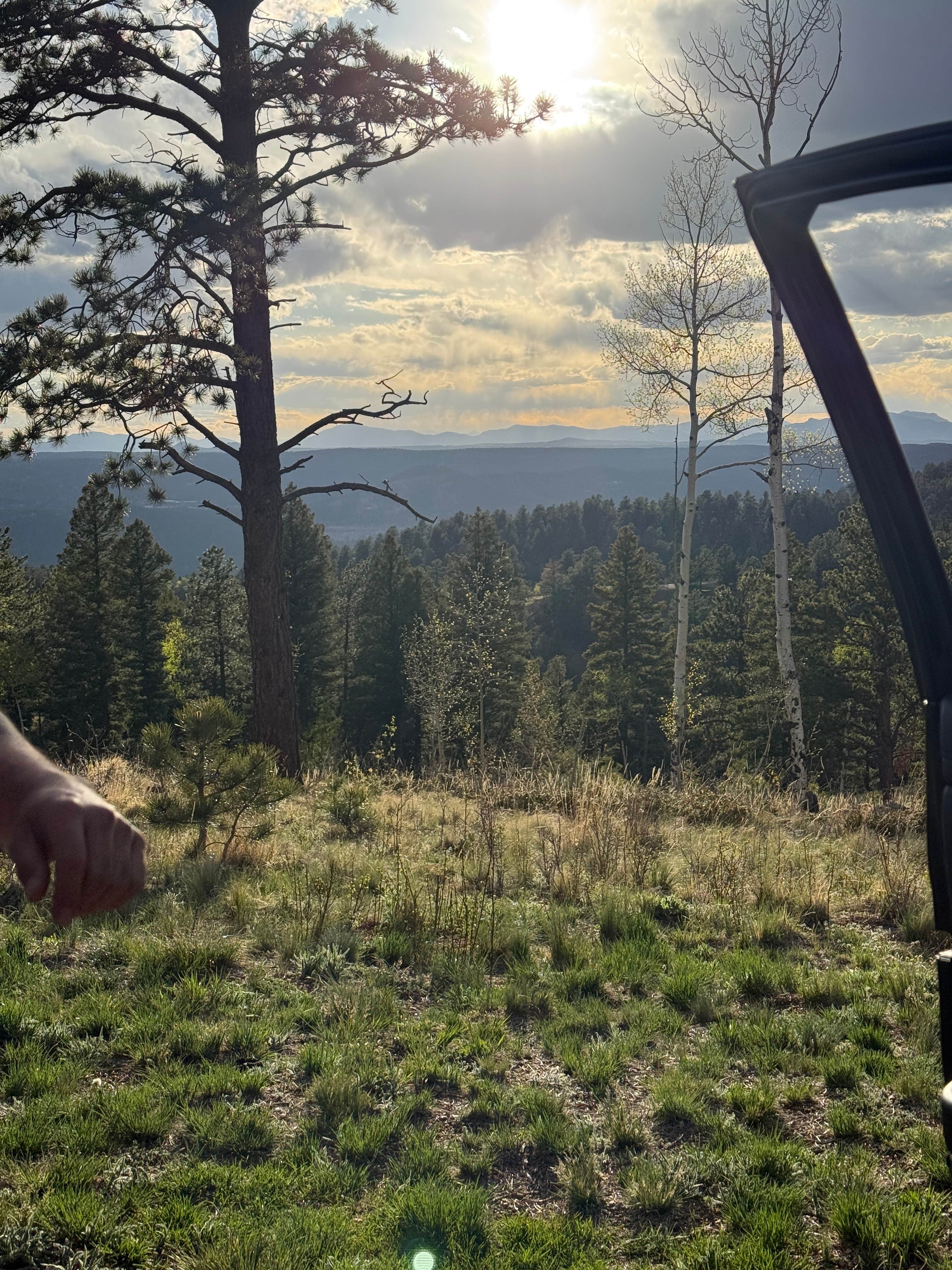 Jem S.'s photo of a dispersed camping area at Rampart Range Area Dispersed Campsite near Louviers, CO