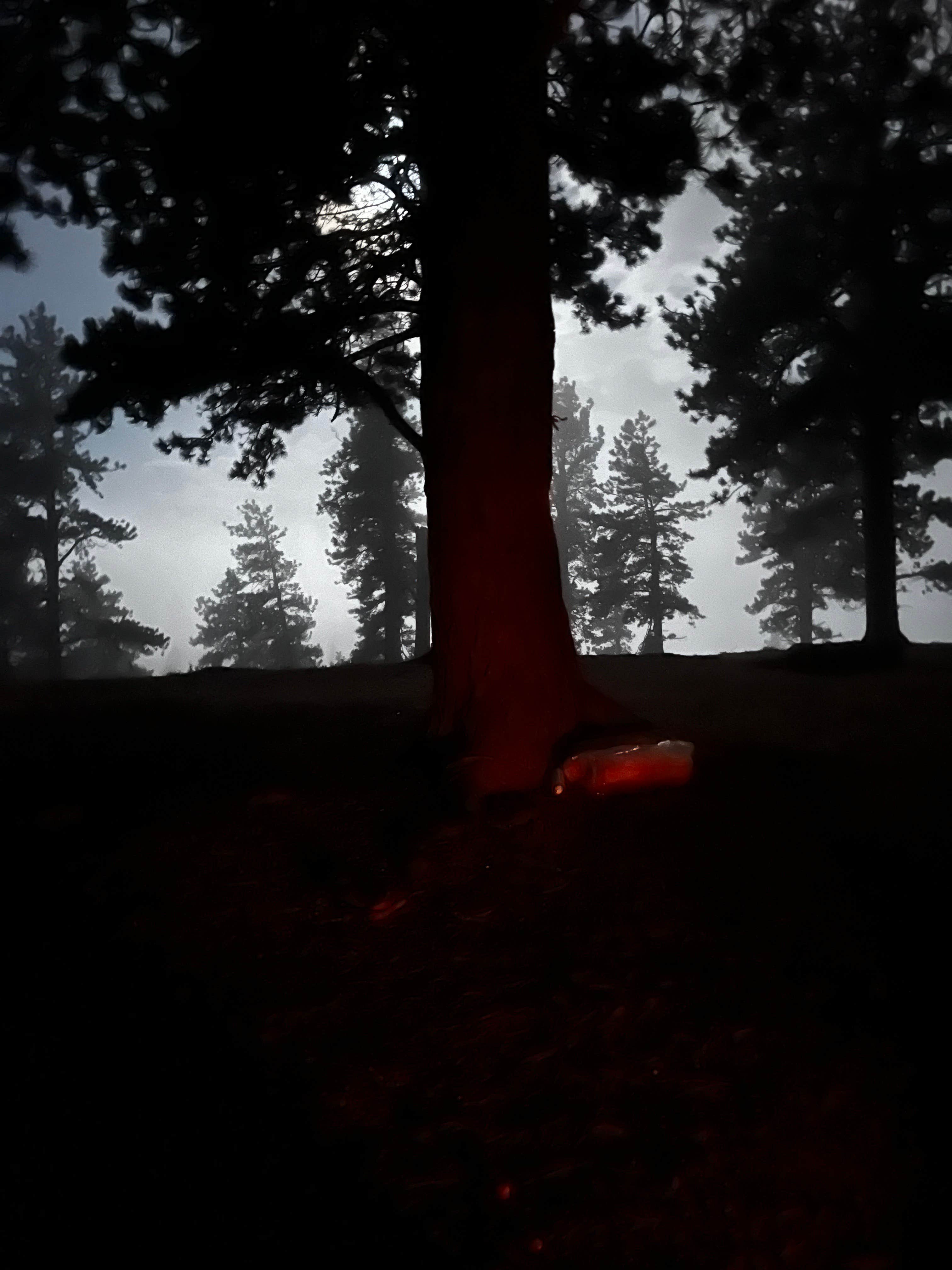 Camper-submitted photo at Rampart Range Area Dispersed Campsite near Larkspur, CO