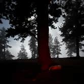 Review photo of Rampart Range Area Dispersed Campsite by Bryce C., June 9, 2025