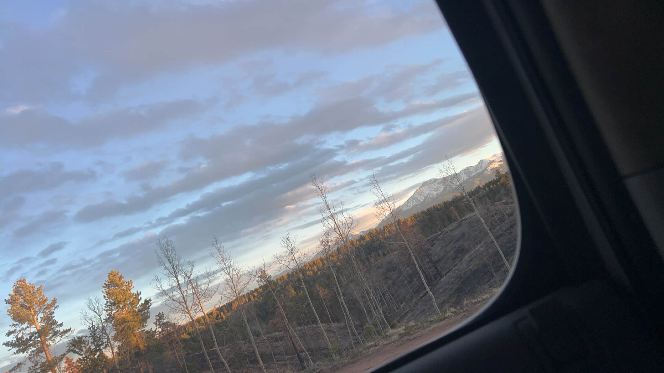 Alyson M.'s photo of a dispersed camping area at Rampart Range Area Dispersed Campsite near Lake George, CO