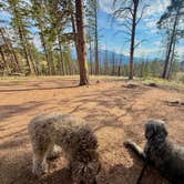 Review photo of Rampart Reservoir Dispersed by Jordan R., August 13, 2026