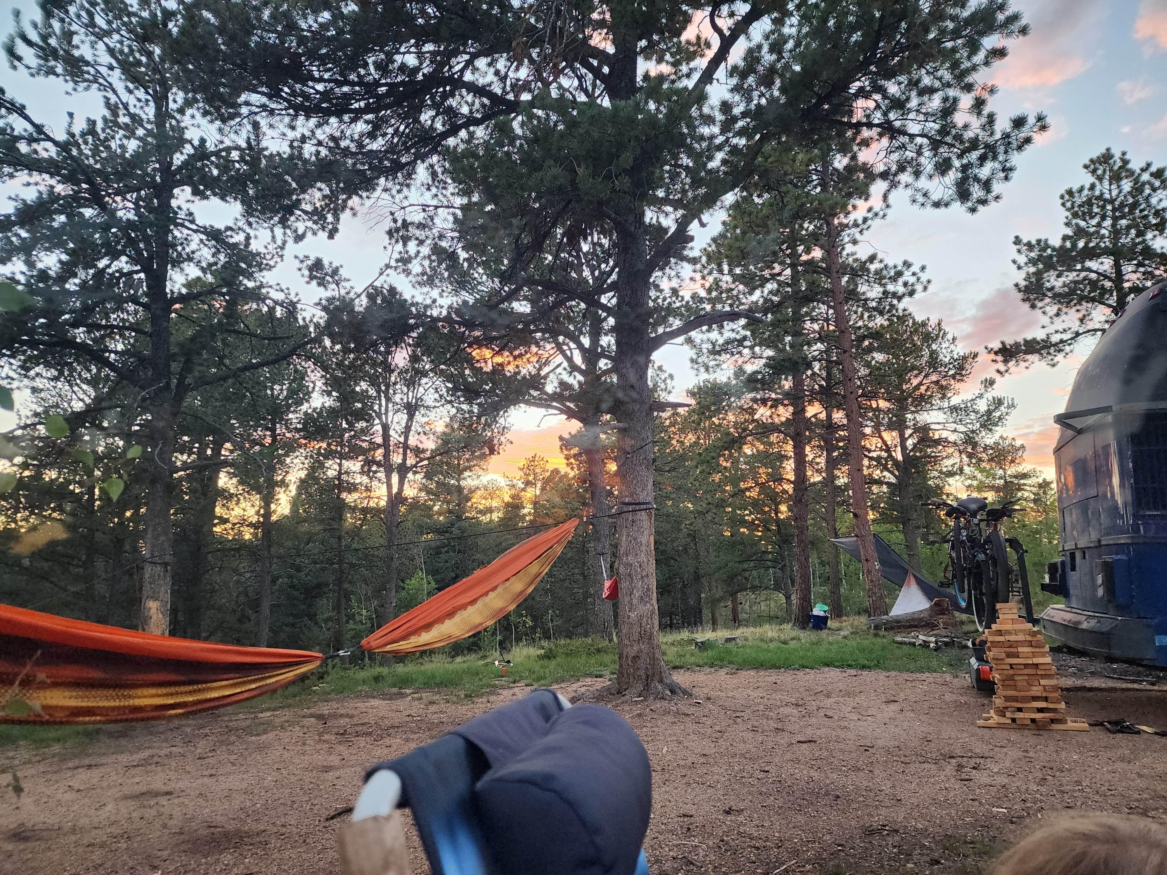 Amber W.'s photo of a dispersed camping area at Rampart Road near Louviers, CO
