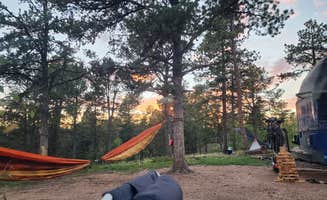 Amber W.'s photo of a dispersed camping area at Rampart Road near Woodland Park, CO
