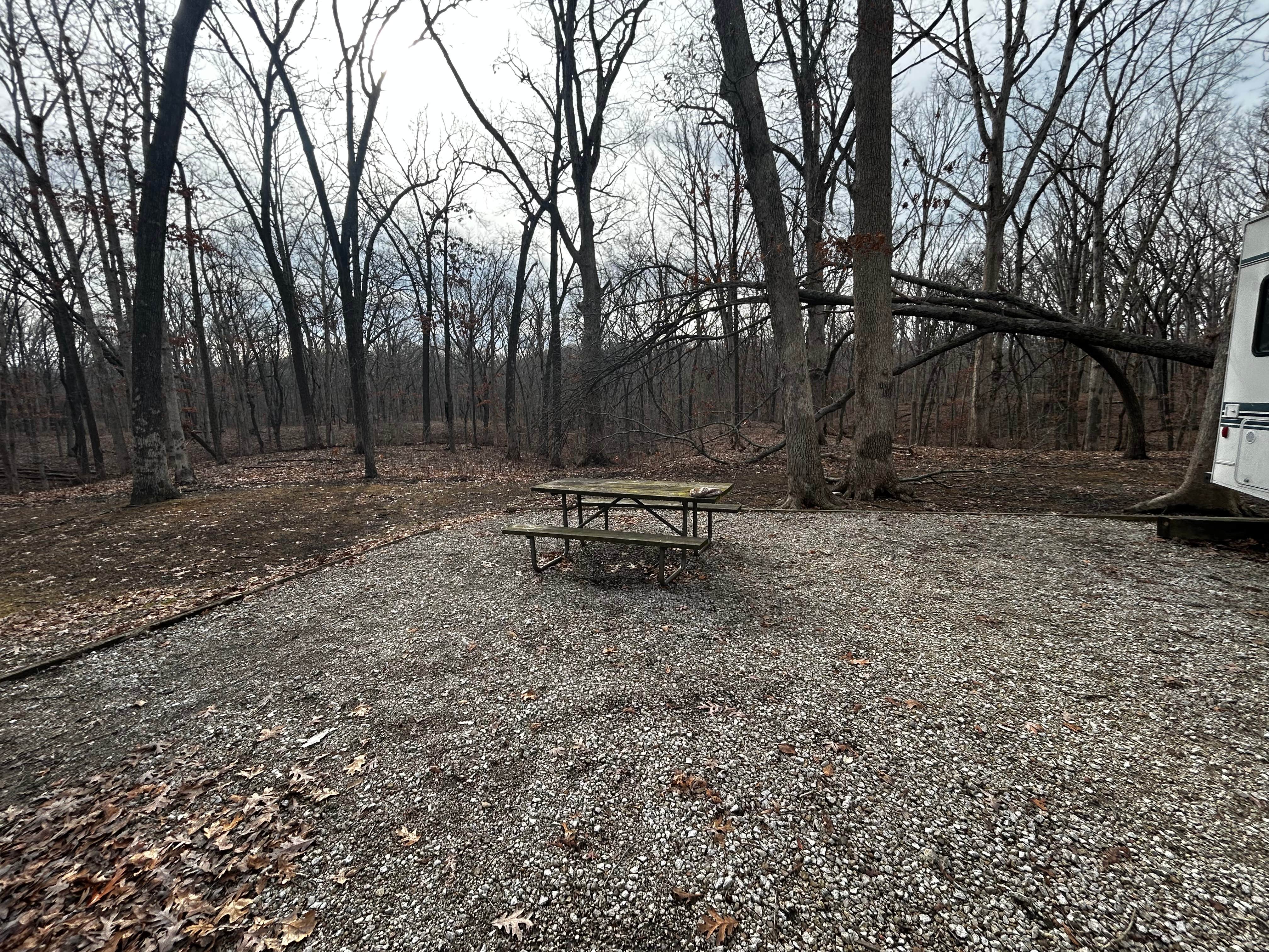 Camper-submitted photo at Ramsey Lake State Recreation Area near Hillsboro, IL