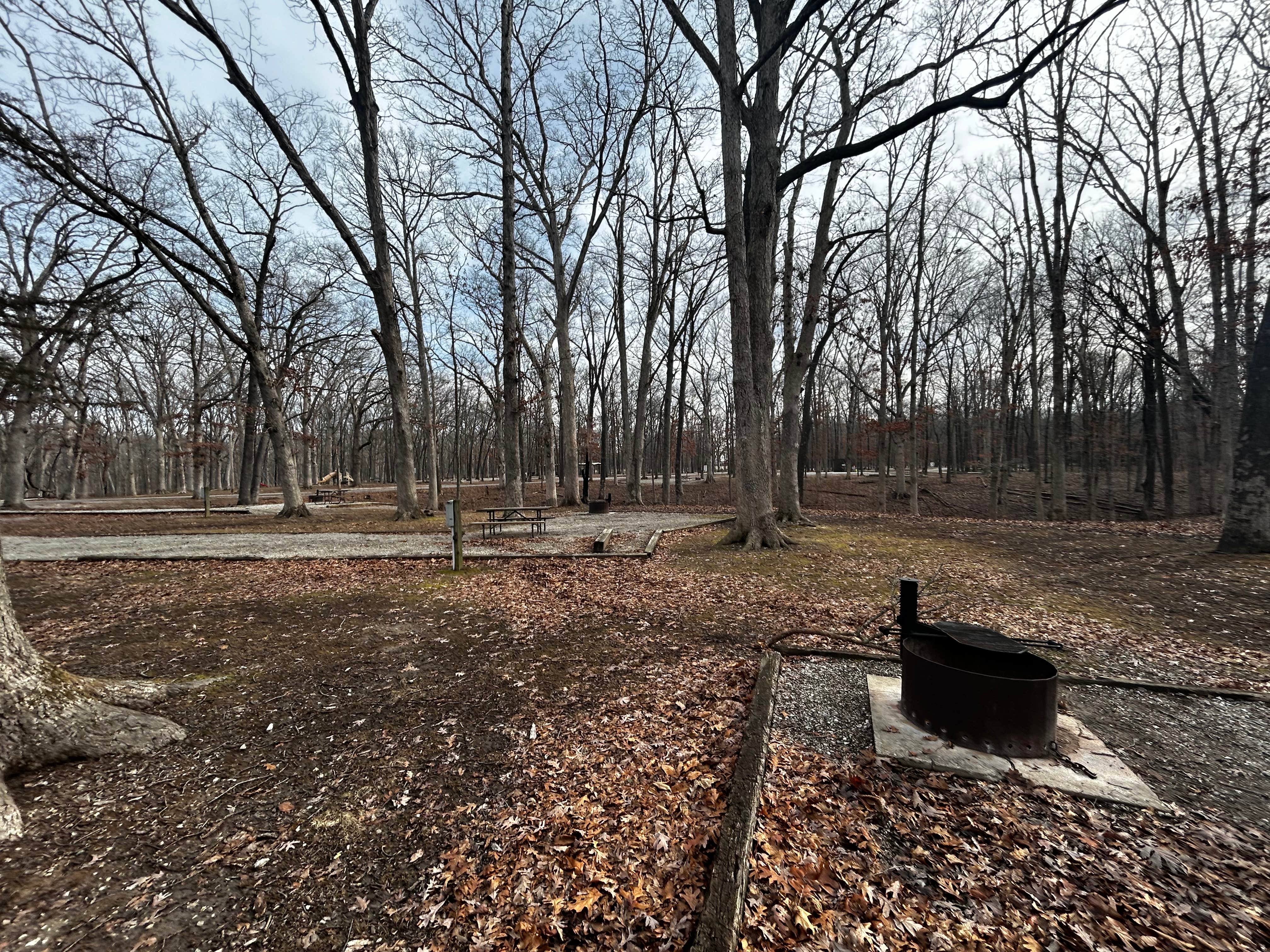 Camper-submitted photo at Ramsey Lake State Recreation Area near Hillsboro, IL