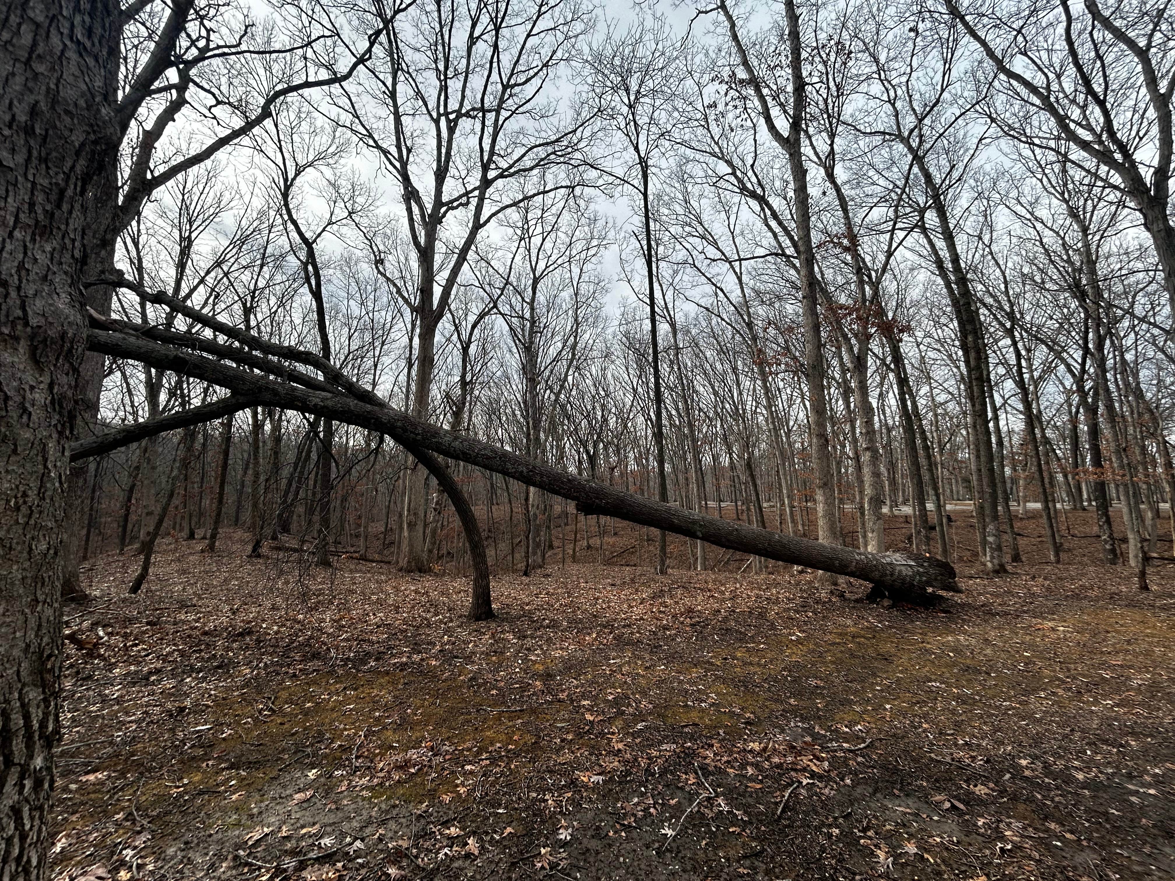 Camper submitted image from Ramsey Lake State Recreation Area - 2