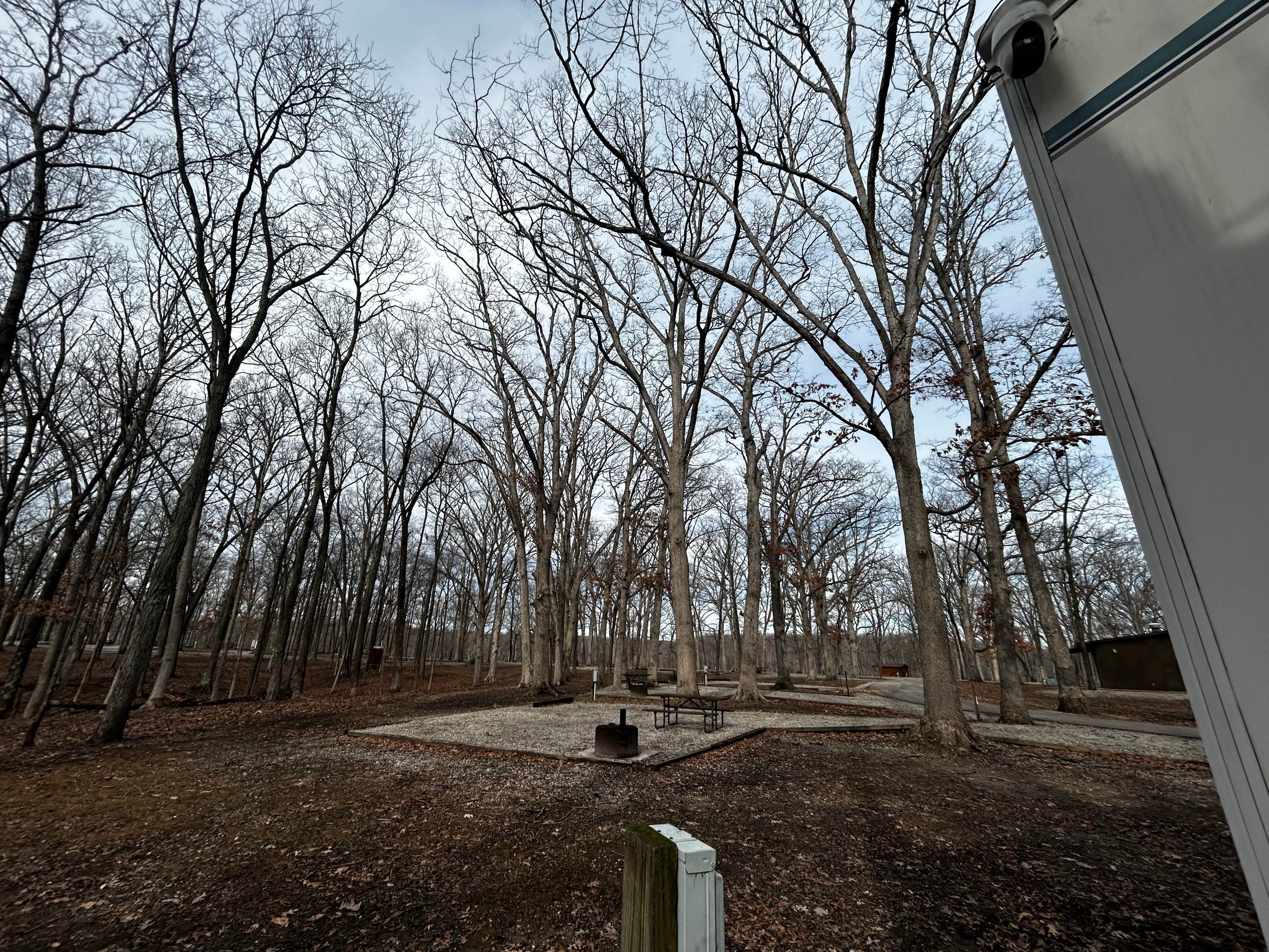 Camper-submitted photo at Ramsey Lake State Recreation Area near Hillsboro, IL