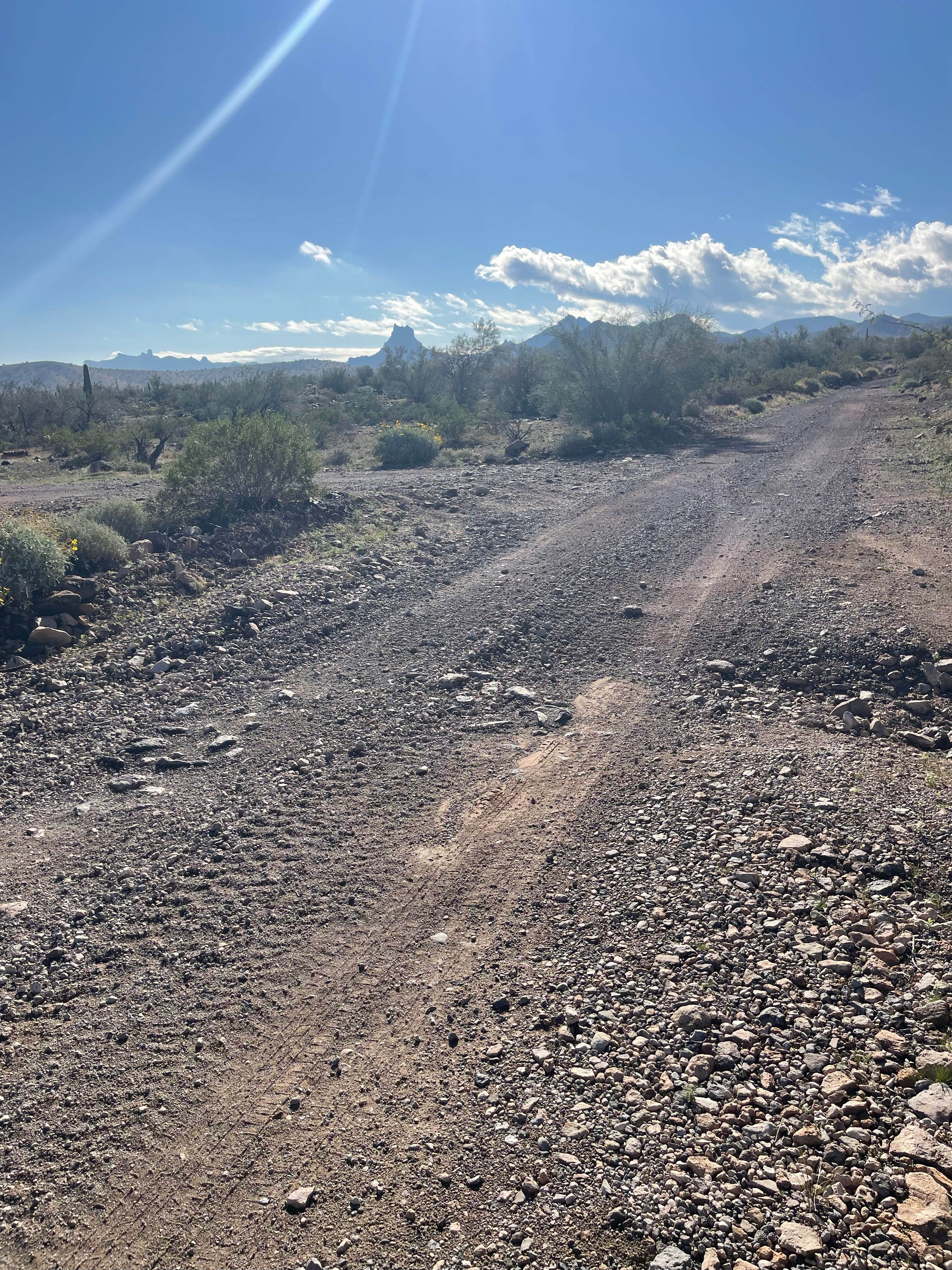 Roy S.'s photo of a dispersed camping area at Ramsey Mine Rd 2.4 near Salome, AZ