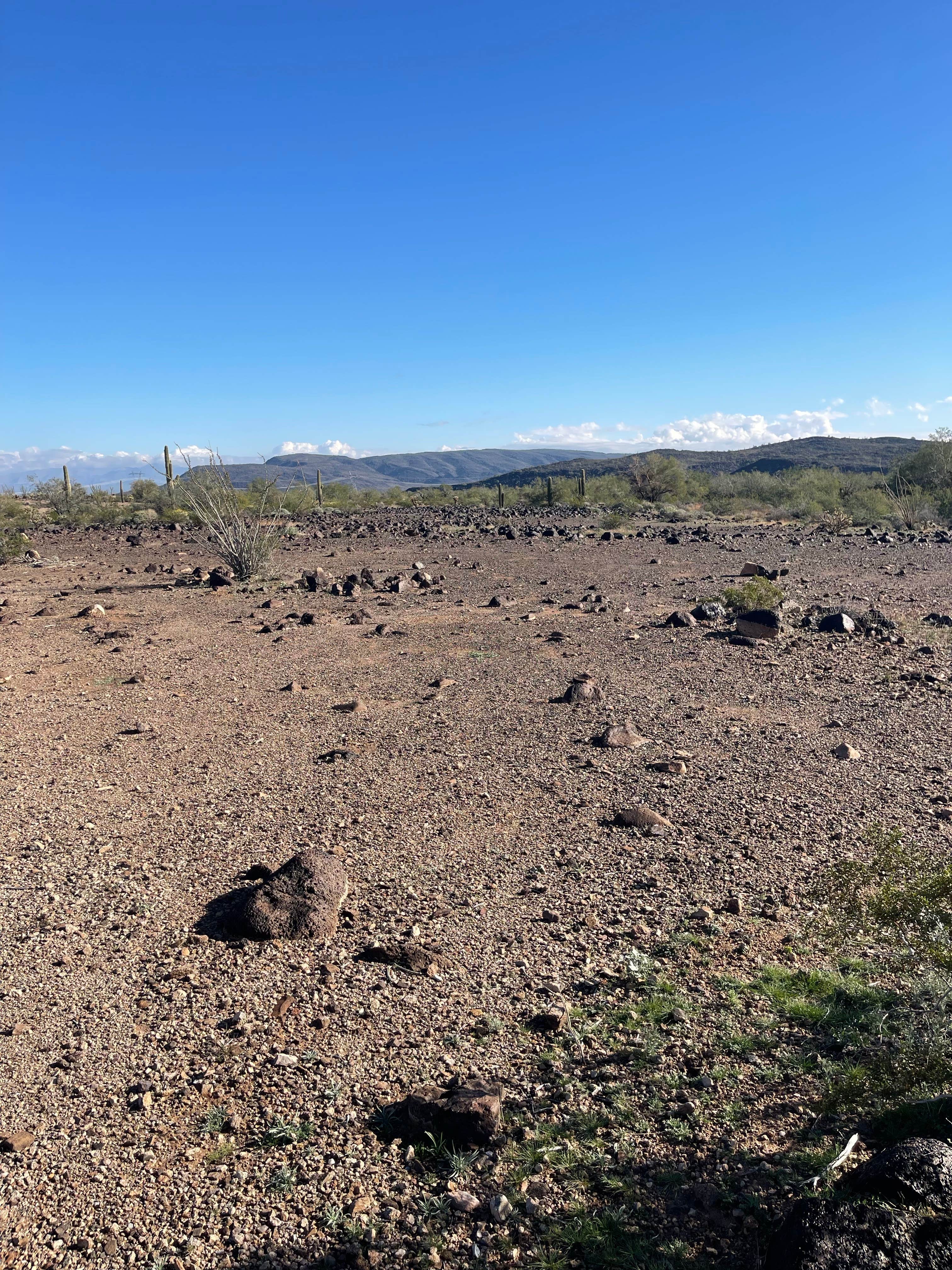 Camper submitted image from Ramsey Mine Rd 2.4 - 1