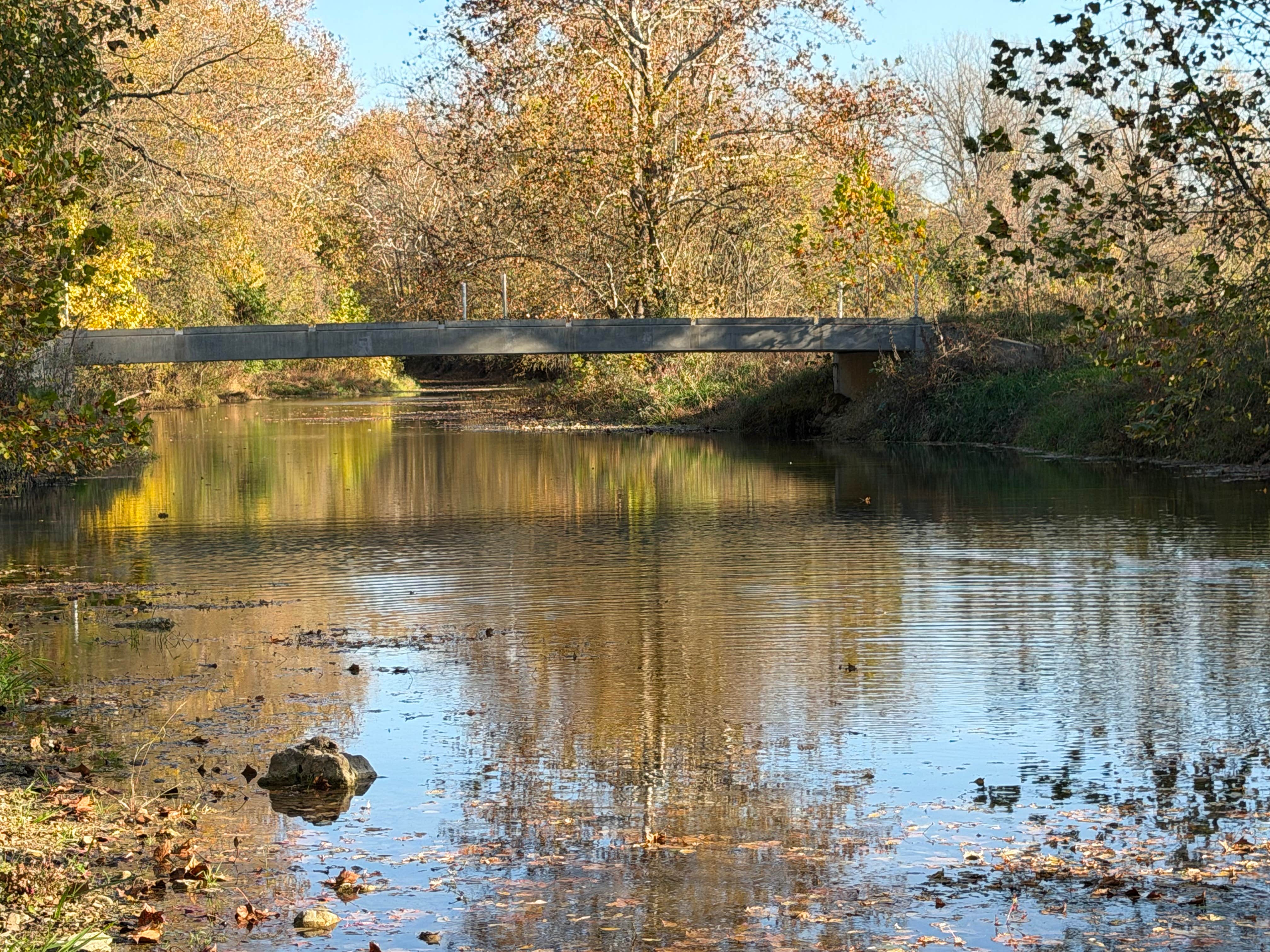 Camper-submitted photo at Ranacker Conservation Area near Quincy, IL