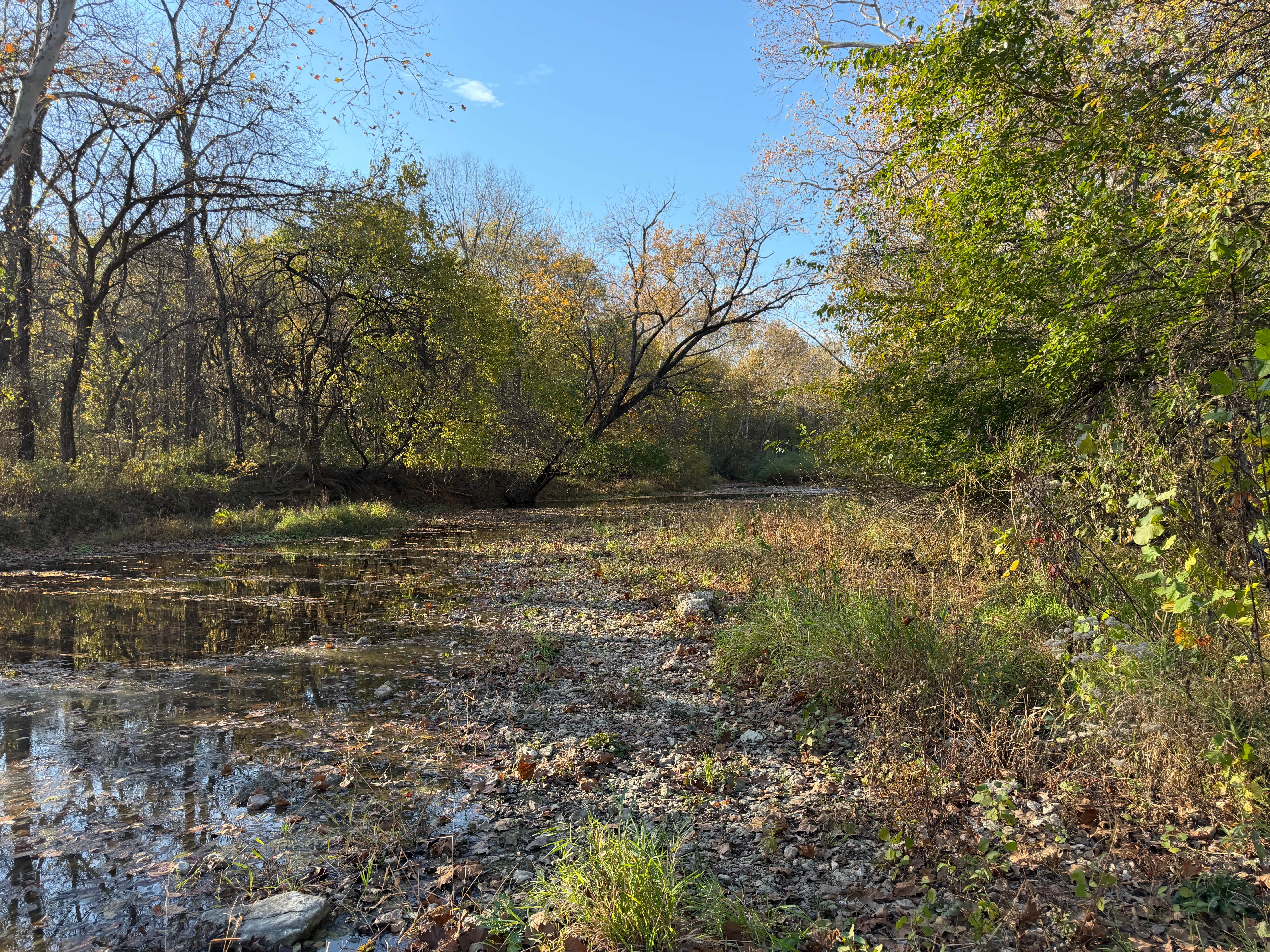 Camper-submitted photo at Ranacker Conservation Area near Quincy, IL