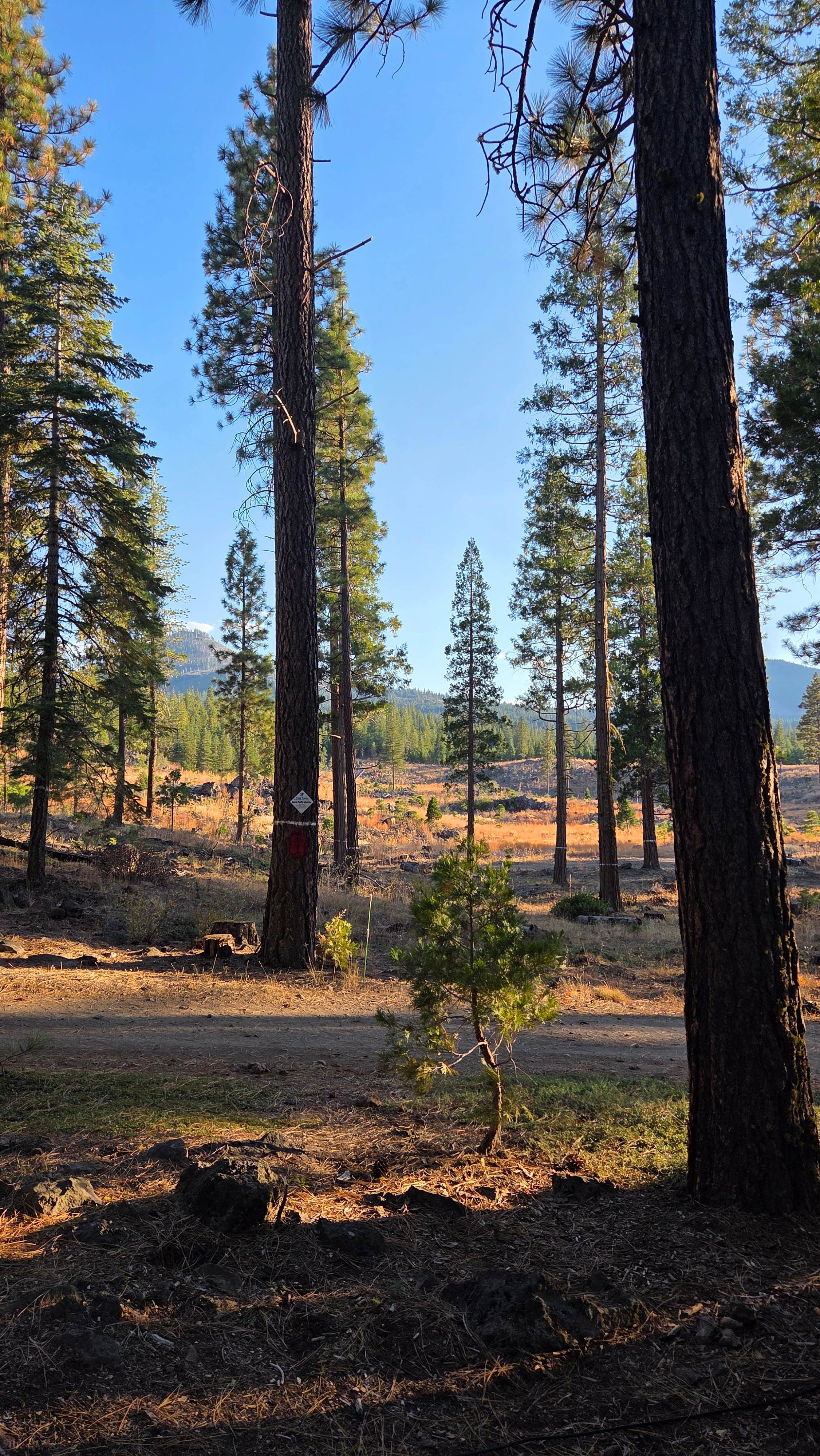Camper-submitted photo at Burney Falls/Hat Creek KOA near Hat Creek, CA