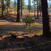 Review photo of Burney Falls/Hat Creek KOA by Josiah D., October 9, 2026