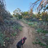 Review photo of Rancheros de Santa Fe by Stefanie S., August 14, 2025