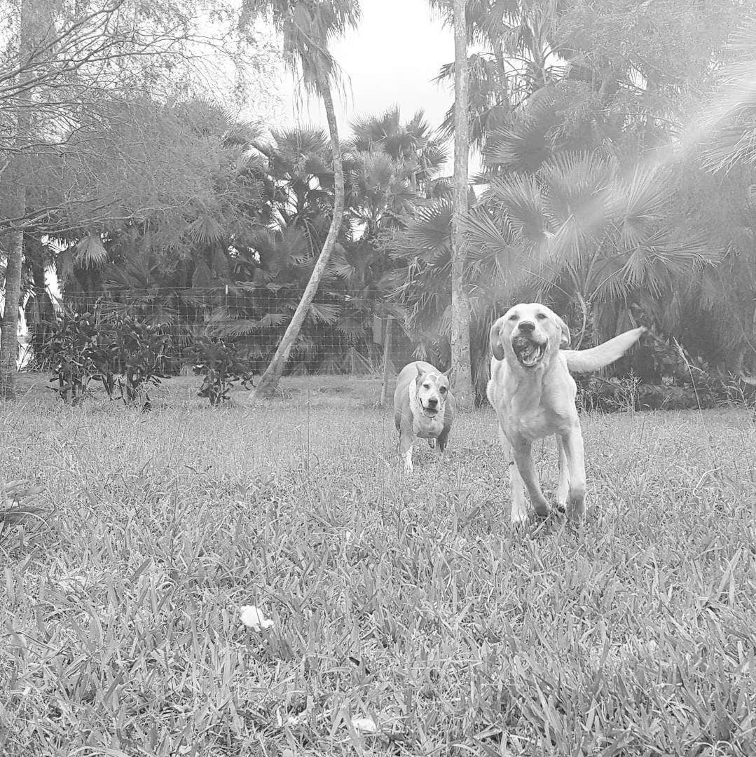 Camper-submitted photo at Rancho El Charco near Ratcliff, TX